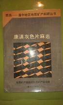 西昌-滇中地区地质矿产科研丛书：《康滇灰色片麻岩》