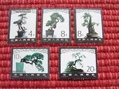 特种邮票～T.57.1981《盆景艺术 》一套6枚(6-6缺枚)-确保真品/特价转让！