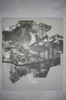 hear earth heart——YI Zhou 2002-2008（听到地球的心——周依 纽约艺术展作品集）