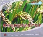 寒地水稻种植技术视频（怎样种植寒地水稻） U盘 书 图说水稻病虫害诊断与防治(全彩版)