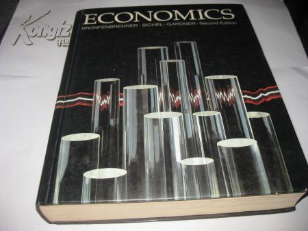 ECONOMICS（SECOND  EDITION）---英文原版，精装16开9品，书前皮下角稍有一点磨损