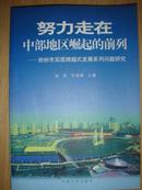 努力走在中部地区崛起的前列:郑州市实现跨越式发展系列问题研究