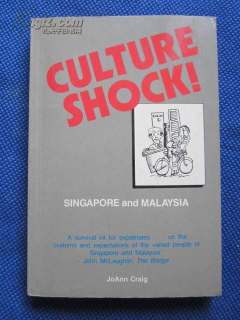 英文小说 culture shock