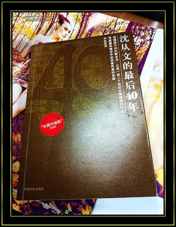 沈从文论:中国现代文化的反思、沈从文的最后40年