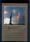 松辽盆地石油和天然气勘察史（1949-1989）（92年精装16开1版1印）