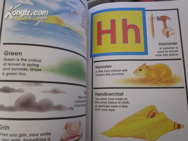 PICTURE DICTIONARY FOR CHILDREN(1500WORDS EXPLAINED FOR THE YOUNG READER （彩印） 16开 精装