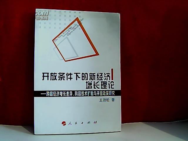 开放条件下的新经济增长理论--跨国经济增长差异、跨国技术扩散与开放政策研究     E2