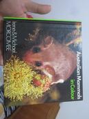 Australian Mammals in Colour (Irene & Michael Morcombe) 英文原版,彩图版澳大利亚的哺乳动物  sf1-4