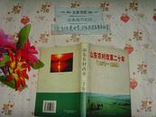 山东农村改革二十年  20年   1978   1998文泉资料类精Z-5