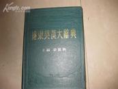 远东英汉大辞典 dictionary