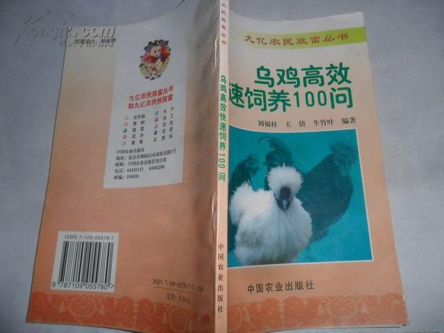 乌鸡高效快速饲养100问