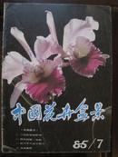 中国花卉盆景[1985年7期]