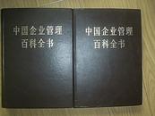 中国企业管理百科全书  上下两册带书盒硬精装   [TB]