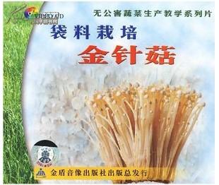 金针菇人工栽培技术视频，金针菇的栽培季节