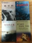 法国21世纪作家作品丛书四种合售(漓江出版社): 灰色的灵魂、罗马阳台：世间每一个清晨、永远的山谷、挺好的