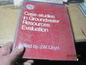 9943   210pages . Case  studies  in groundwater  resources  evaluation  地面水估价案例 精装