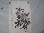 杨春艺 牡丹花开 画一张 68/45厘米