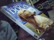 ALL ABOUT DOGS