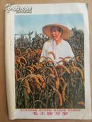 山东省中学试用课本 工农业基础知识农业部分上册 农业基础知识下册 两本和售