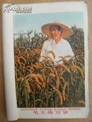 山东省中学试用课本 工农业基础知识农业部分上册 农业基础知识下册 两本和售