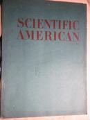 英文影印版：Scientific American，JUNE 1989