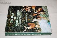 the deer of north america an illustrated guide to their lives leonard lee rue  签名如图