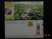 宁夏沙湖邮资门票2006（3000）--0013(10-1)