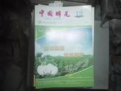 中国棉花2007年第34卷第12期