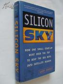 SILICON SKY