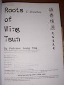 roots & branches of wing tsun咏春根源及各支流考