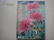 《中国花卉盆景》1985-10    菊花特辑