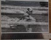 1988年汉城奥运会第24届奥运会黄晓敏200米蛙泳照片