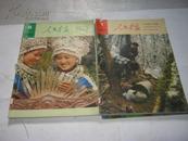 《人民画报》1982年（1至12期，缺第7期）共计11册合售