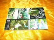 四实作风在淇县(广播系列报道)