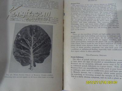 Diseases of  Vegetables