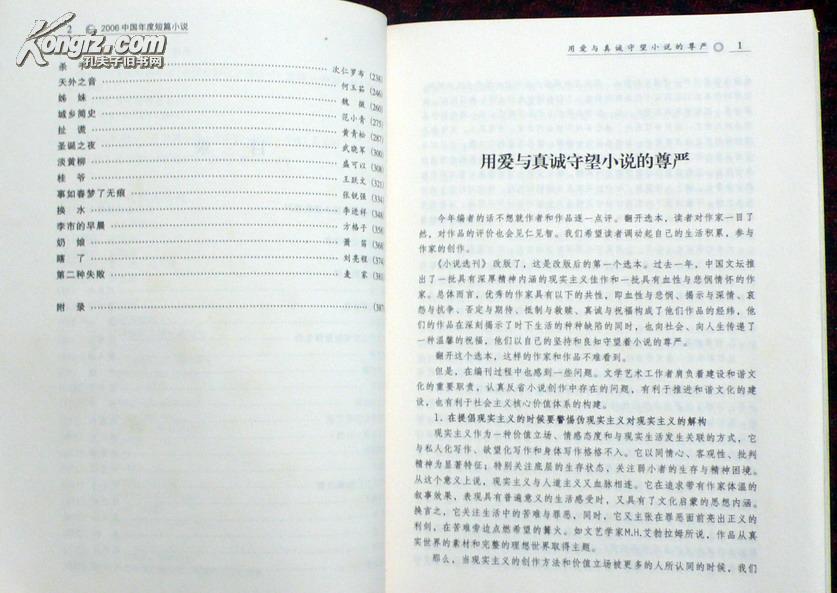 2006中国年度中篇小说