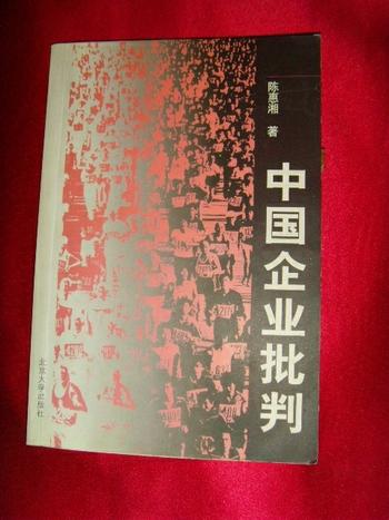 【企业管理问题研究书籍·陈惠湘】中国企业批判