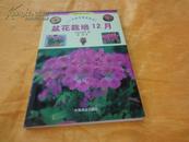 盆花栽培12月--一年四季观赏花卉 （铜版纸彩图）