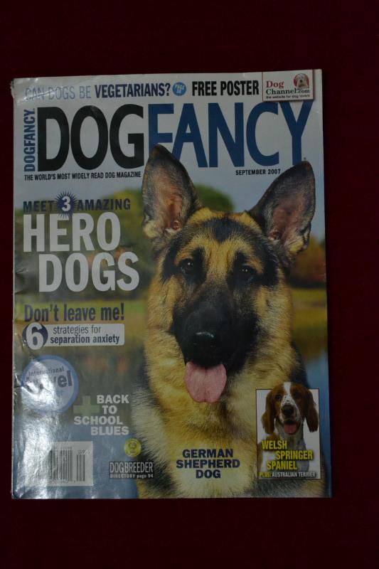 DOG FANCY 2007/09