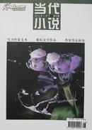 当代小说（2013年3月下 第8期）