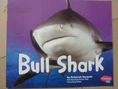 英文原版 少儿精品 Bull Shark(牛鲨)