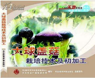 大球盖菇种植技术U盘 书鸡腿蘑姬松茸大球盖菇生产全书