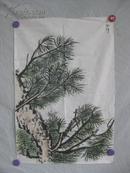 松树 画一幅 67/45厘米