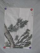 松树画一幅 67/45厘米