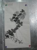 菊花 画一幅 89/48厘米