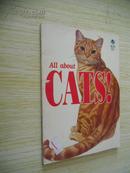 All About Cats