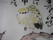 陈寿岳--花鸟