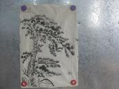 松树 画一幅 50/34厘米