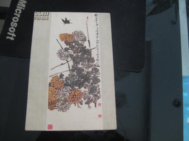 菊花蝴蝶---齐白石1956