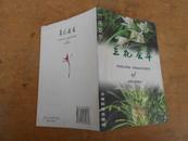 兰花荟萃 99年一版一印